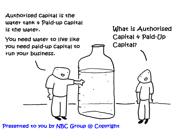 Authorised capital & Paid up capital by NBC Group